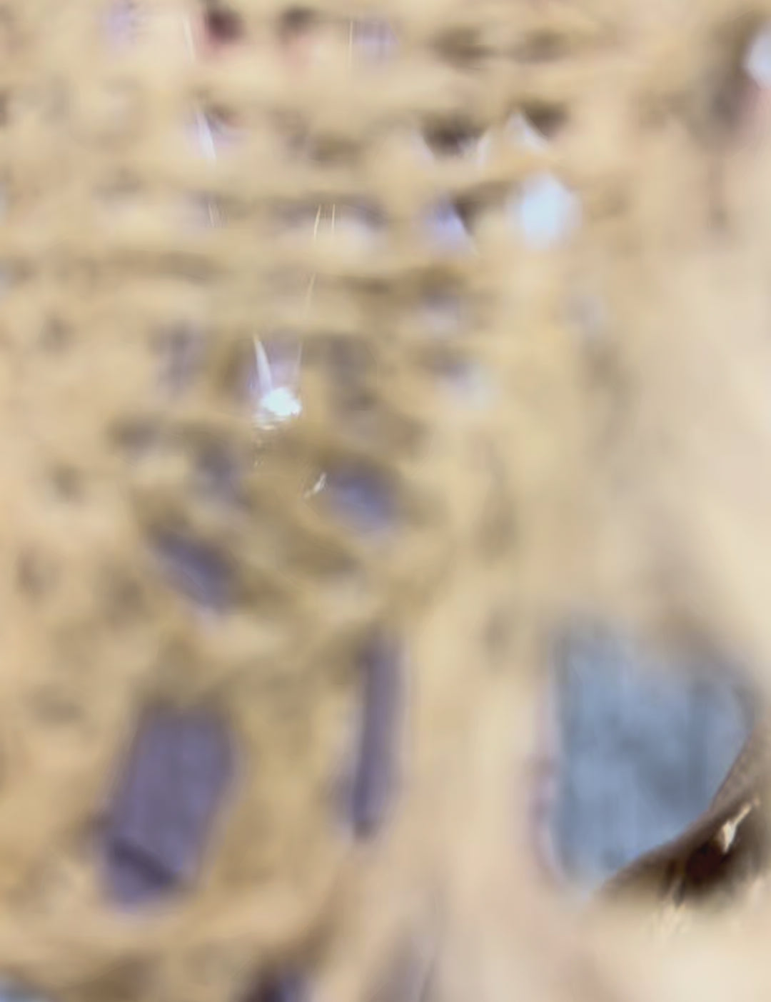 9727677385434df48a2bffe047ea676d.thumbnail.0000000000.jpg
